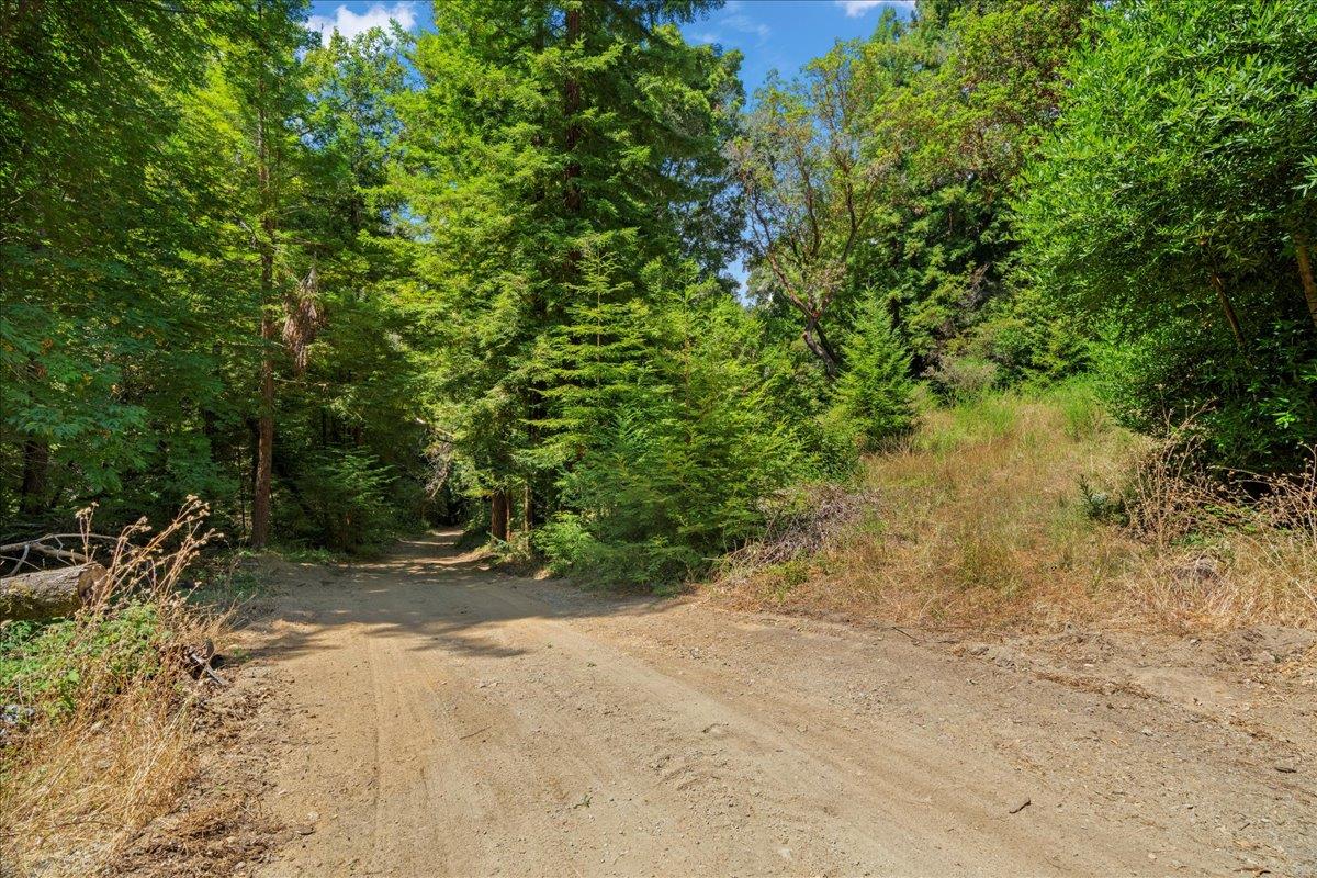 0 Hoover Road Soquel, CA 95073 - Photo 5 of 40 Gallery Image 5