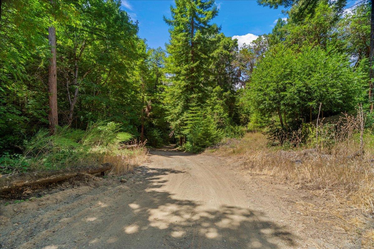 0 Hoover Road Soquel, CA 95073 - Photo 6 of 40 Gallery Image 6