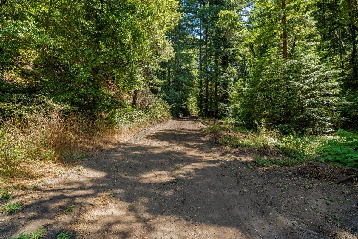 0 Hoover Road Soquel, CA 95073 - Photo 7 of 40 Gallery Image 7