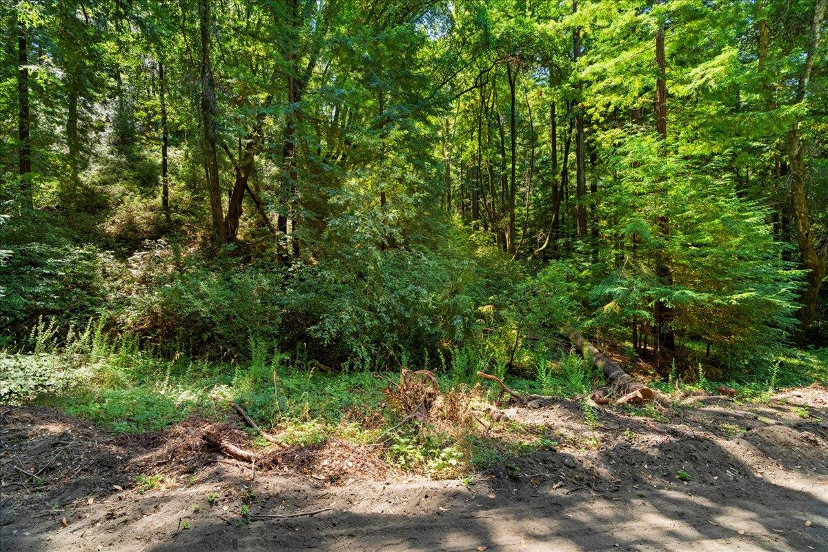 0 Hoover Road Soquel, CA 95073 - Photo 10 of 40 Gallery Image 10