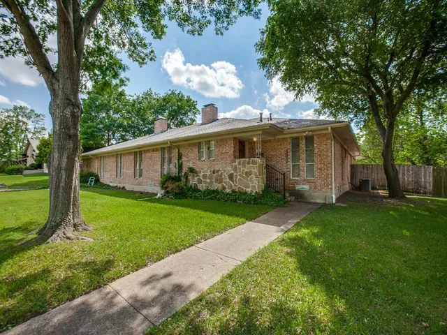 a view of a backyard with plants and large tree