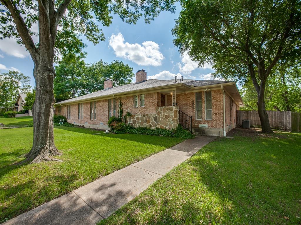 a view of a backyard with plants and large tree