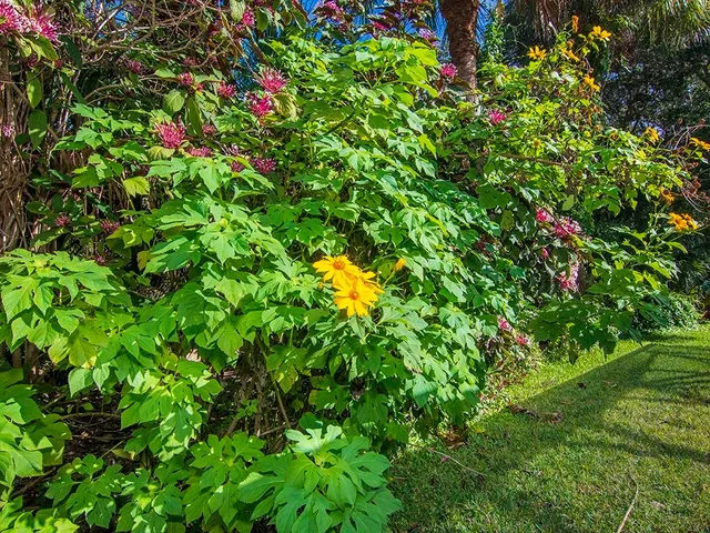 $12,000 | 1526 Pelican Lane, Vero Beach, FL 32963