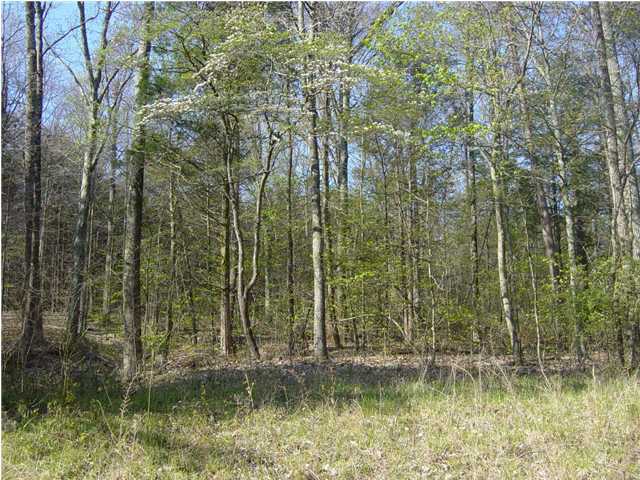 32 Riverside Lane Falls Of Rough, KY 40119 - Photo 1 of 1 Primary Photo