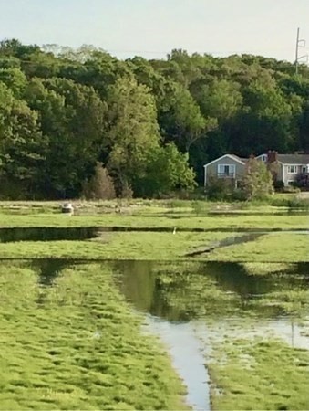 67 Colonial Road Weymouth, MA 02191 - Photo 28 of 31 a view of a water pond with green yard