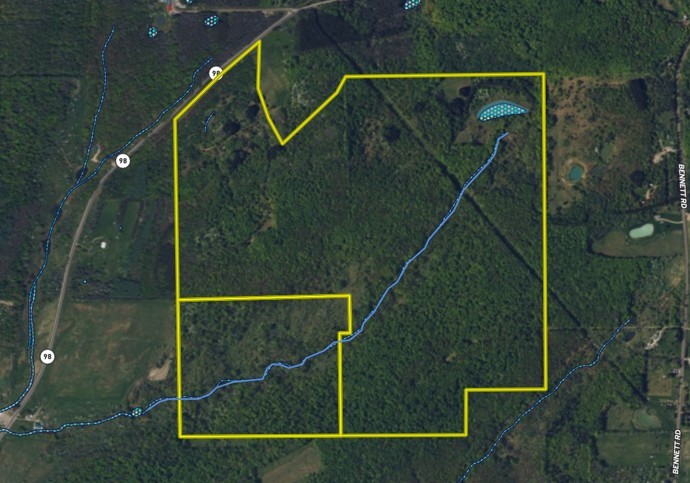 98 Nys Route Franklinville, NY 14737 - Photo 49 of 49 Gallery Image 49