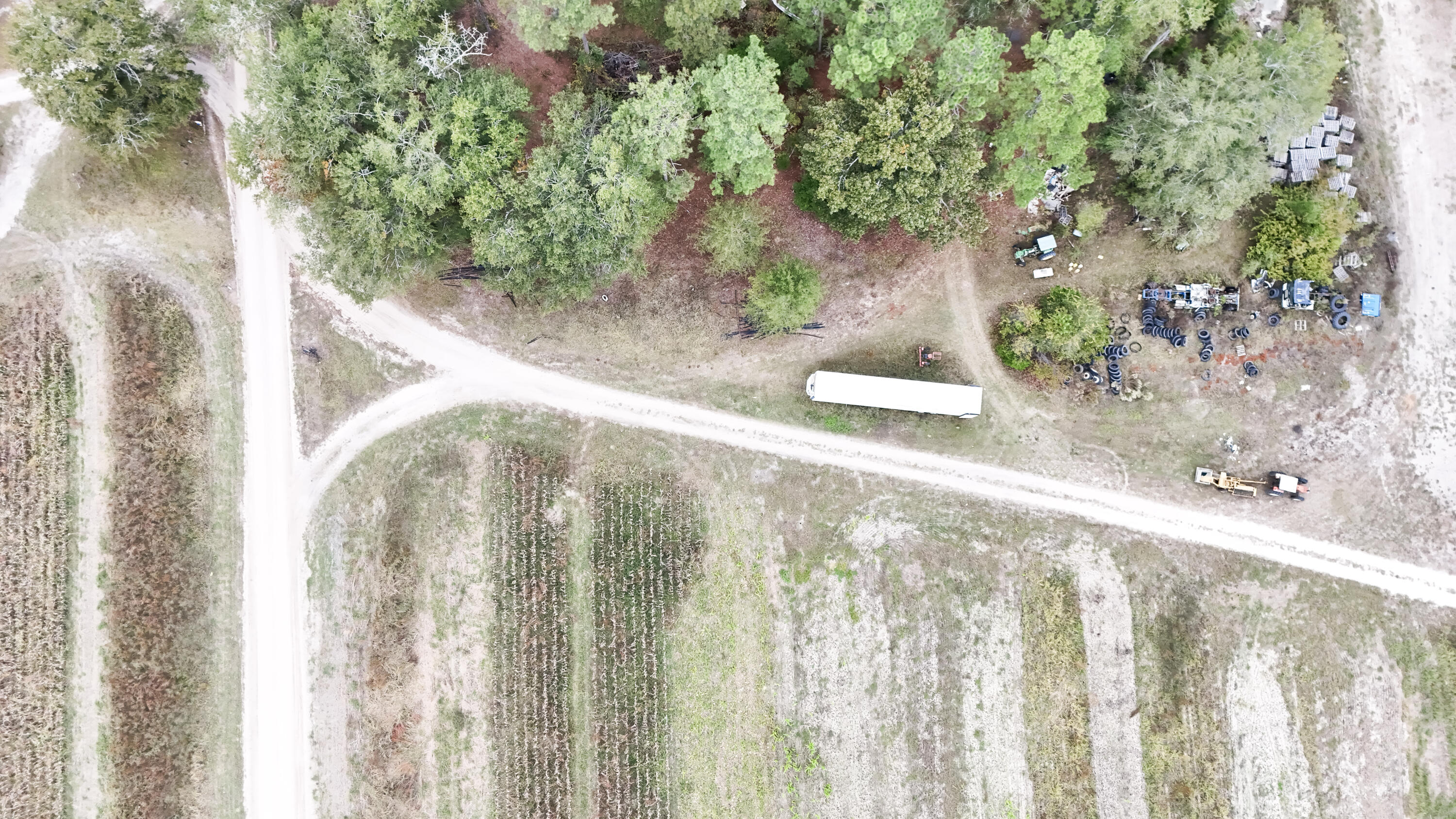 0 Chavis Road Blackville, SC 29817 - Photo 6 of 22 22-DJI_20251031045820_0250_D