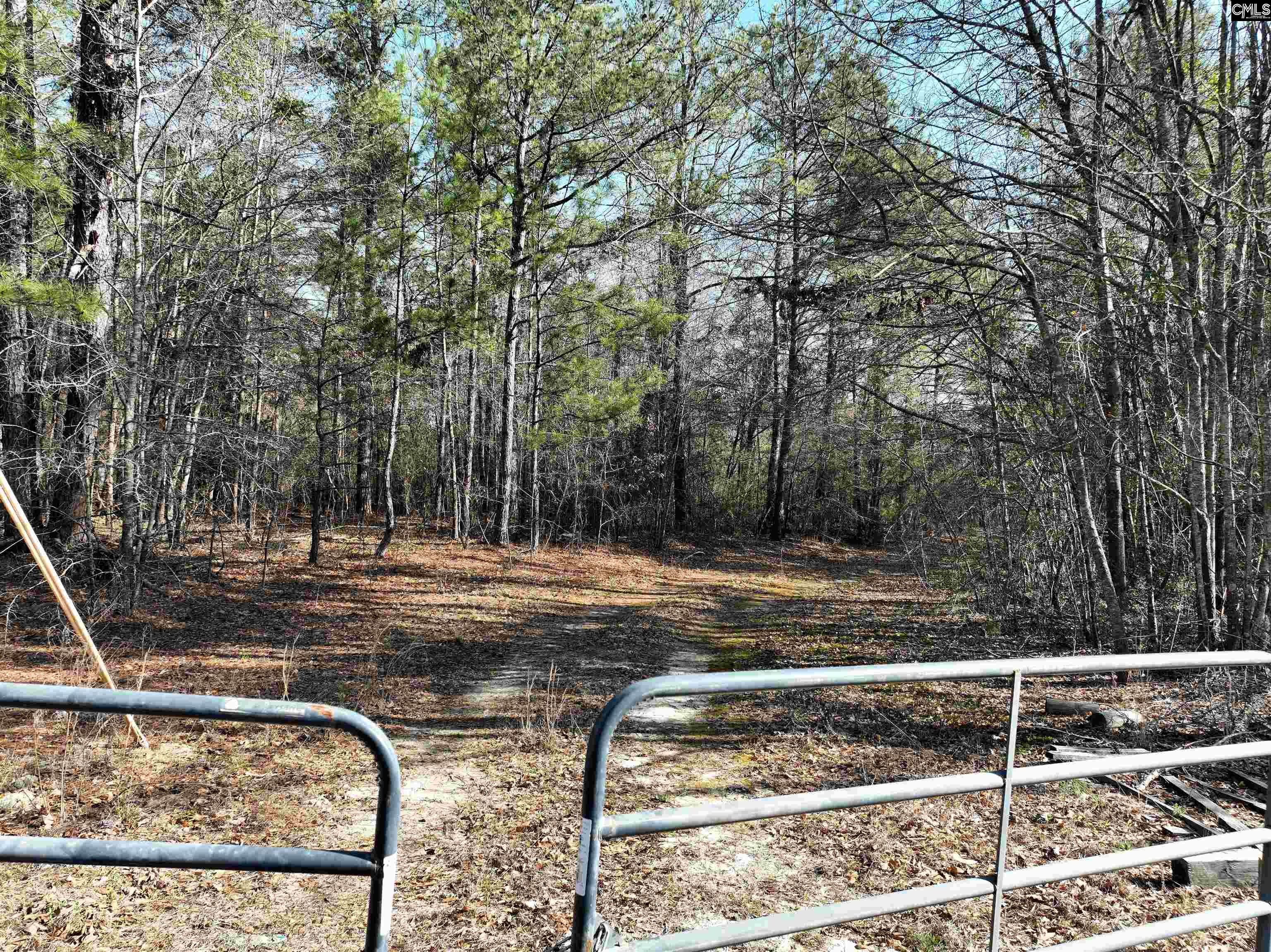 0 Salley Road Salley, SC 29137 - Photo 13 of 21