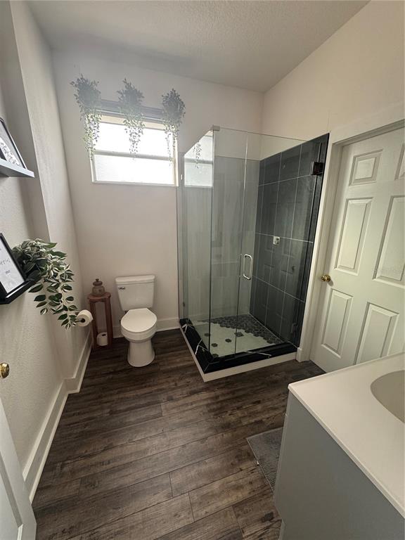 1449 Kaffir Lily Court Trinity, FL 34655 - Photo 43 of 53