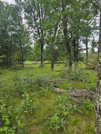 $41,500 | N13230 17th, Necedah, WI 54646