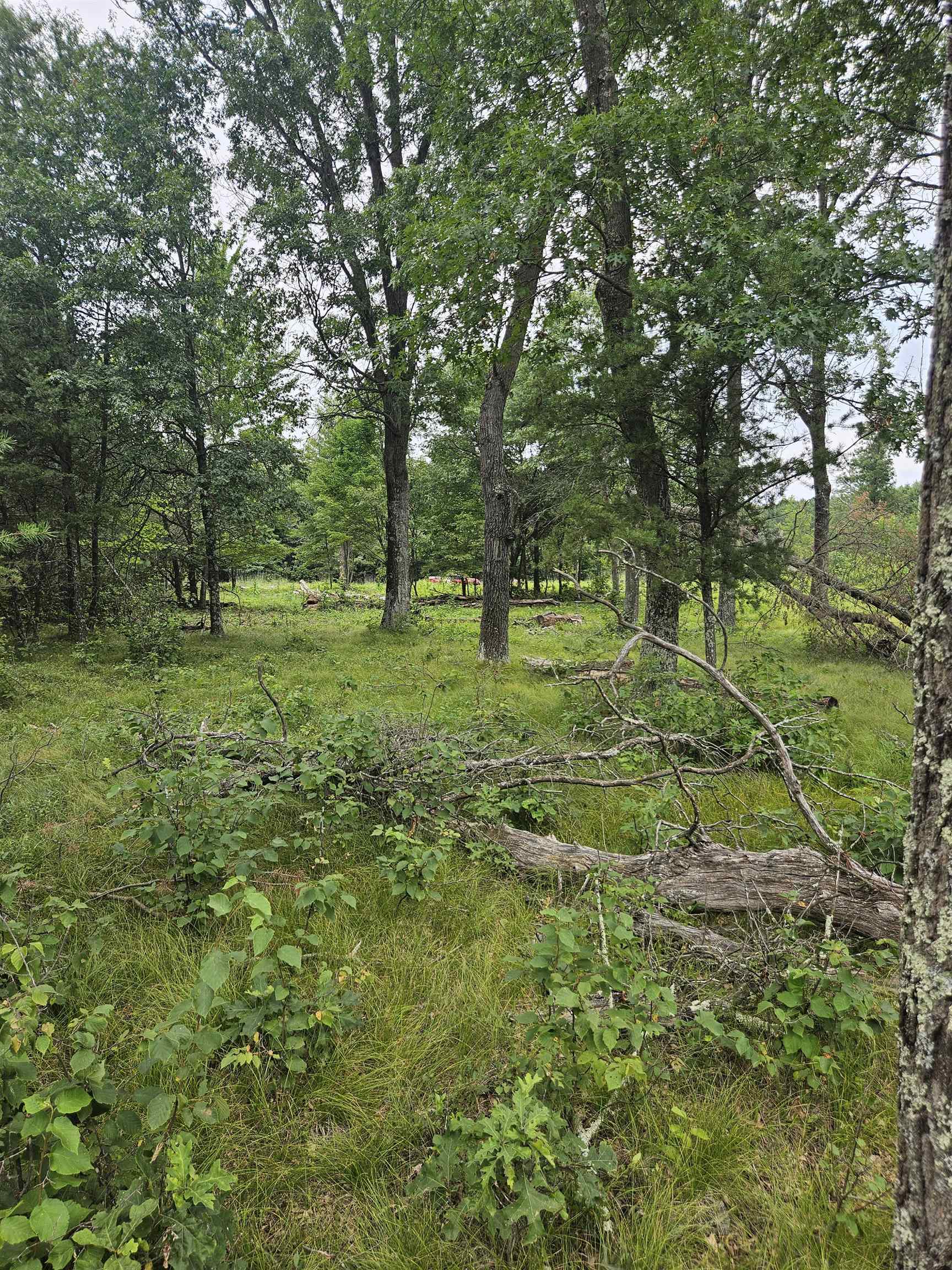 N13230 17th Necedah, WI 54646 - Photo 3 of 9