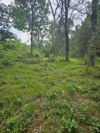 $41,500 | N13230 17th, Necedah, WI 54646