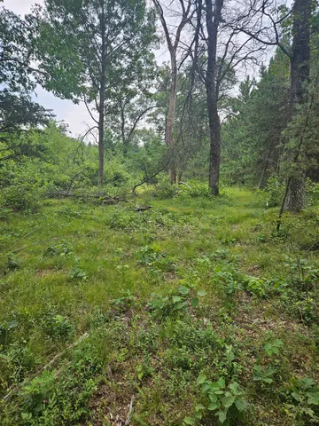 $41,500 | N13230 17th, Necedah, WI 54646