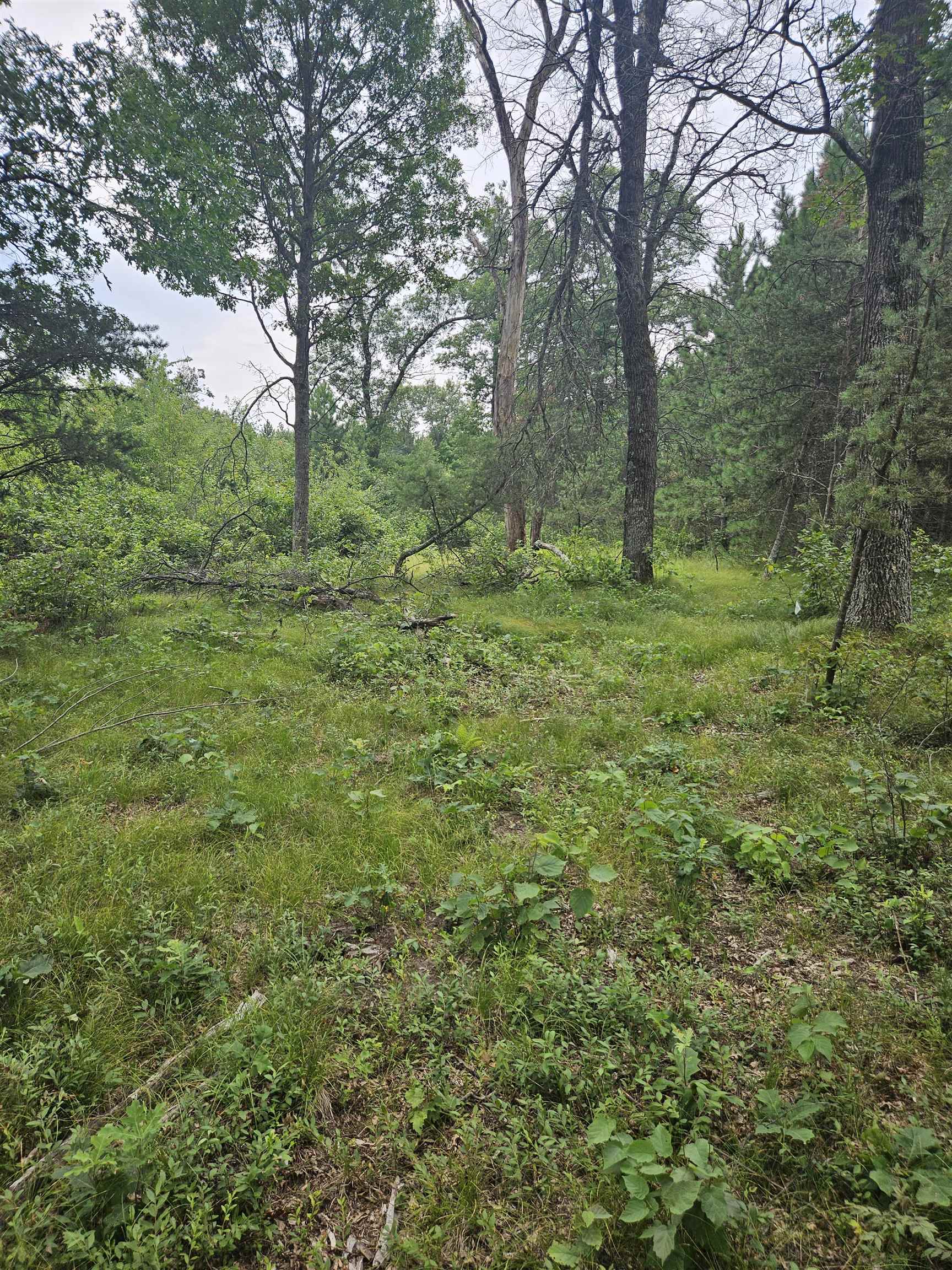 N13230 17th Necedah, WI 54646 - Photo 4 of 9