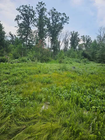 $41,500 | N13230 17th, Necedah, WI 54646