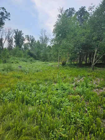 $41,500 | N13230 17th, Necedah, WI 54646