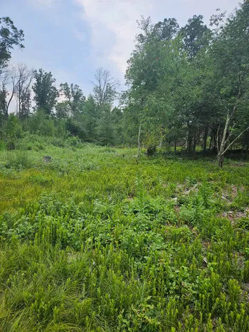 $41,500 | N13230 17th, Necedah, WI 54646