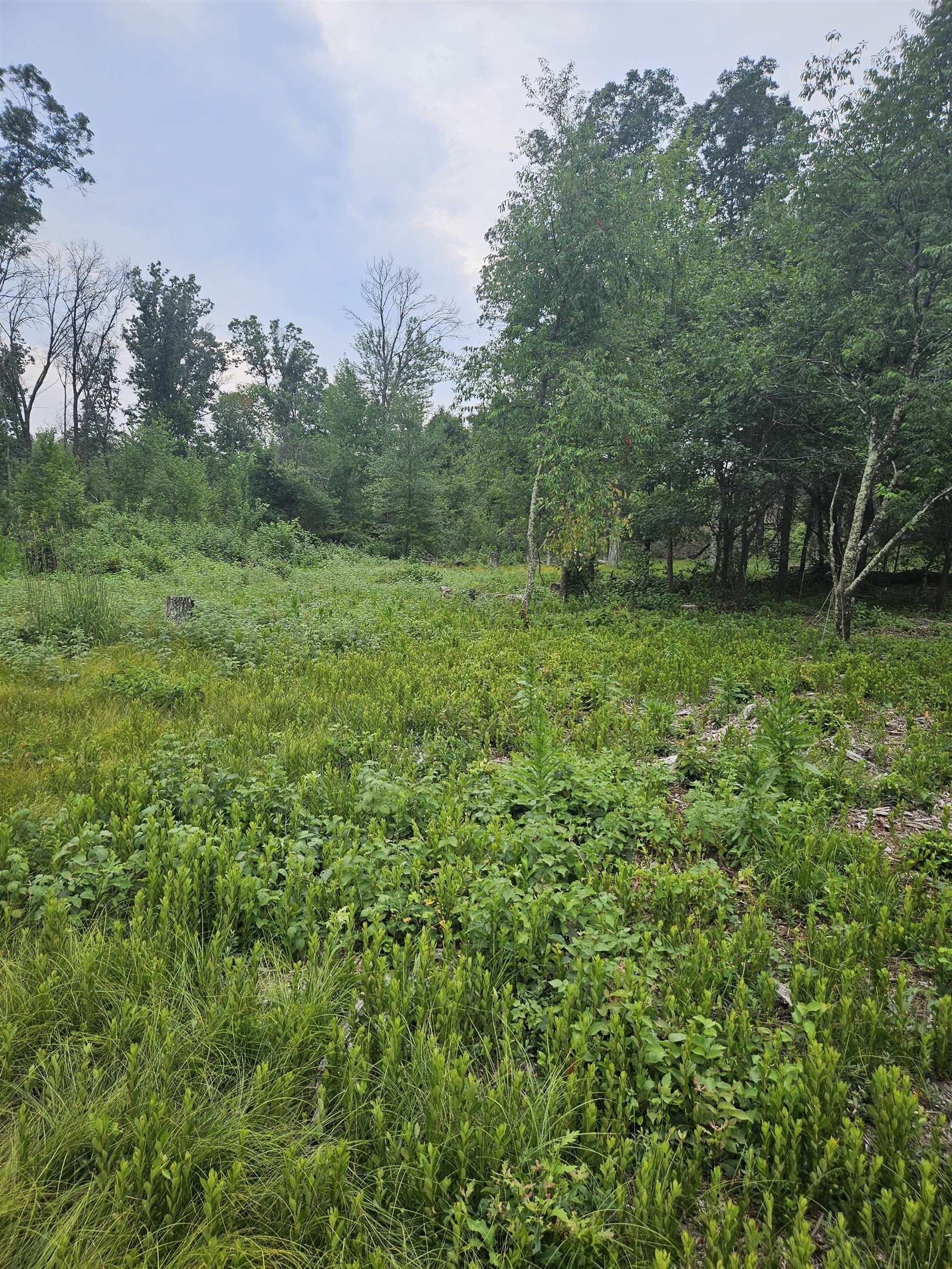 N13230 17th Necedah, WI 54646 - Photo 6 of 9