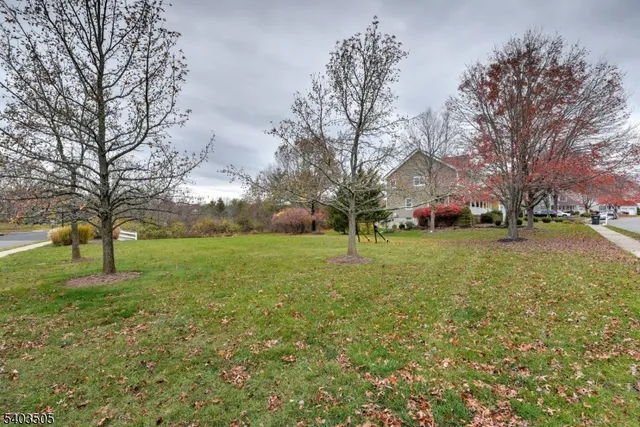 a view of a field with large trees