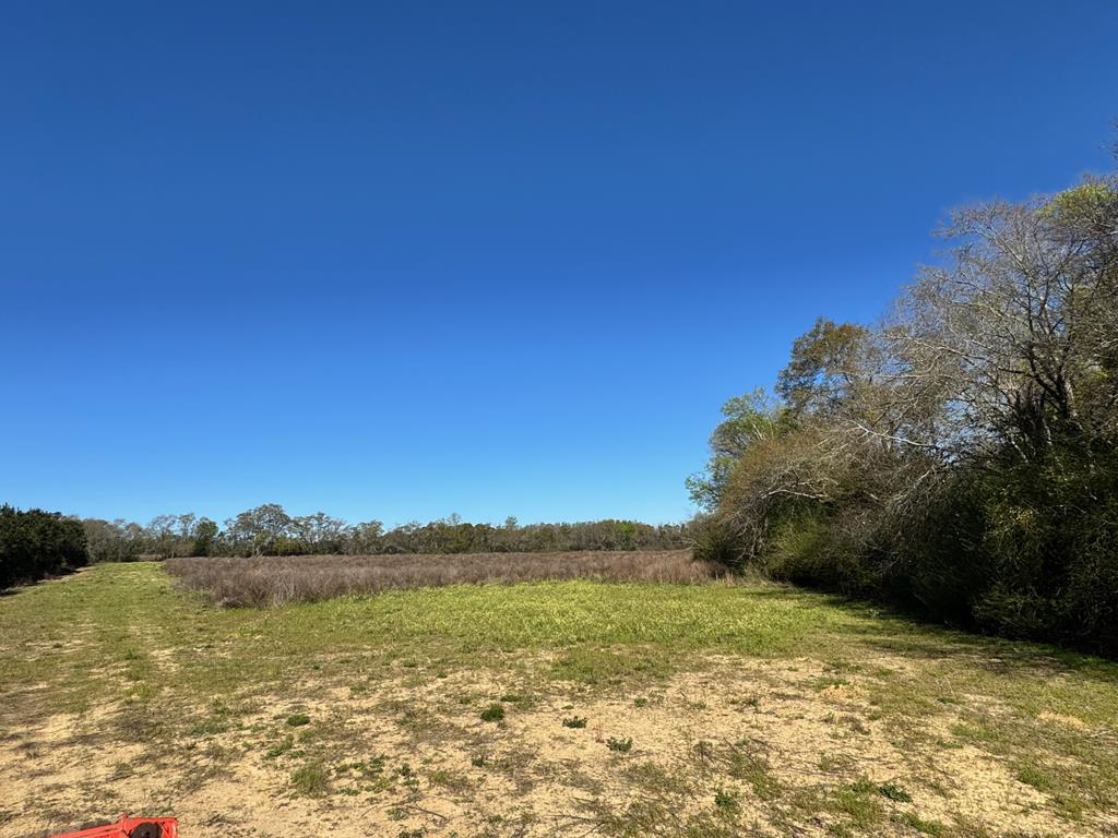 0 Macedonia Ch Road Columbia, AL 36319 - Photo 24 of 61