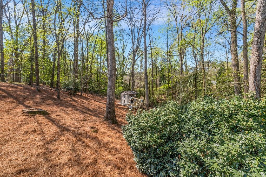 7650 Ryefield Drive Sandy Springs, GA 30350 - Photo 35 of 38 a view of a backyard