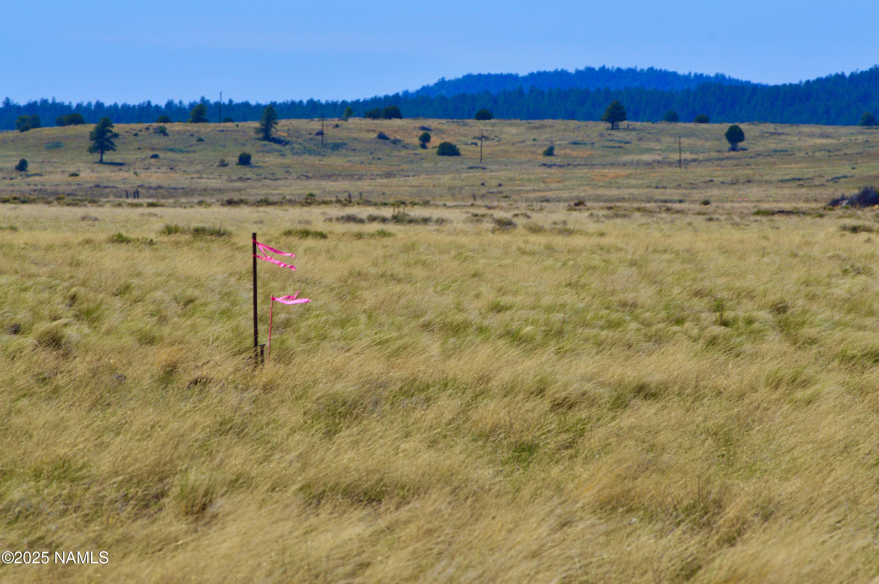 Parcel B Tanner Ranch Road Flagstaff, AZ 86005 - Photo 5 of 18 a view of ocean with a lake view