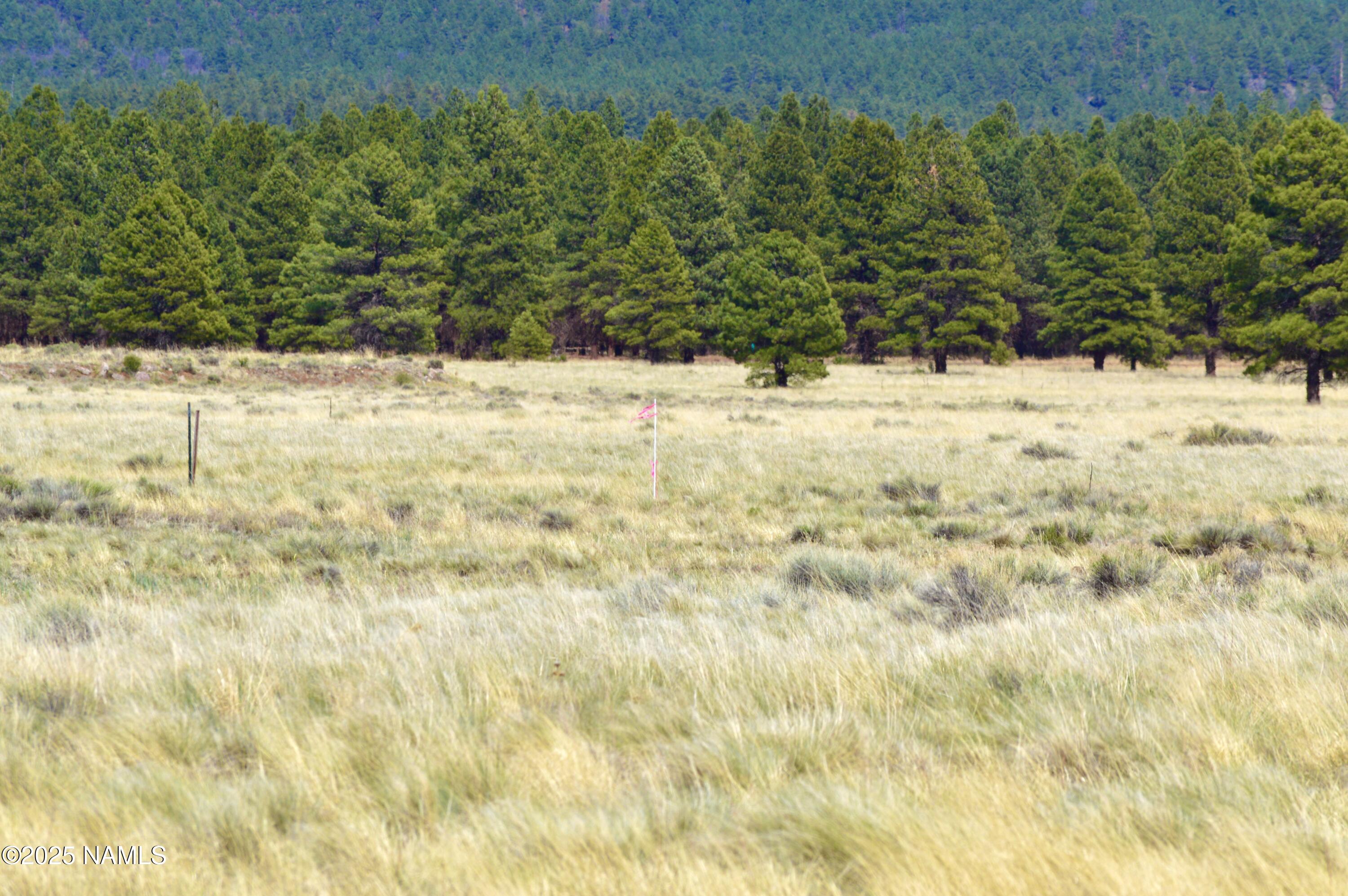 Parcel B Tanner Ranch Road Flagstaff, AZ 86005 - Photo 8 of 18 a view of a yard covered in snow