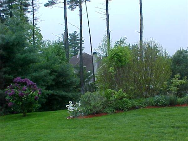 27 Hawthorne Road Shrewsbury, MA 01545 - Photo 8 of 30 Gallery Image 8