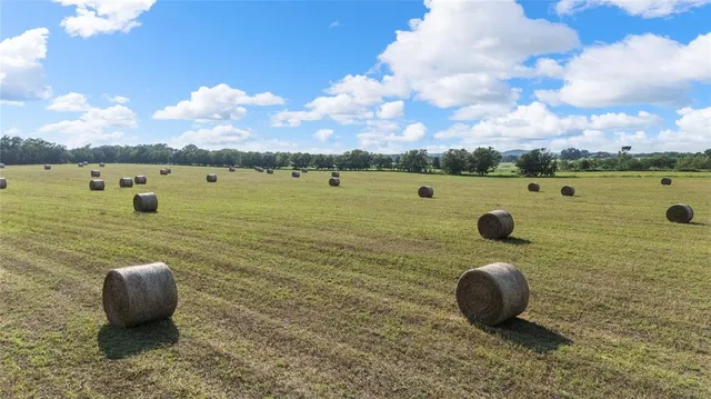 a view of outdoor space and city view