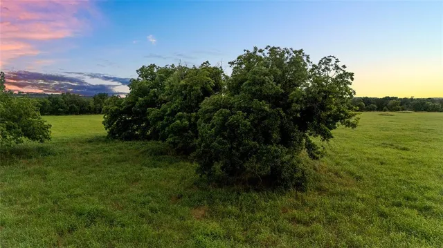 a view of a garden with a lake