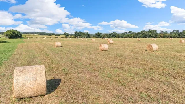 a view of an ocean and beach