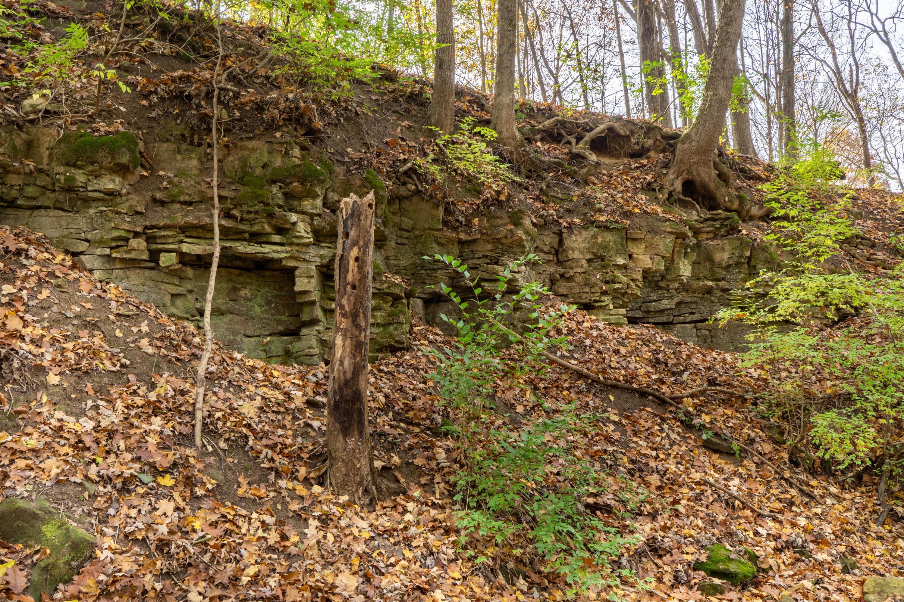 3880 Fry Road Ostrander, OH 43061 - Photo 68 of 82 A closer look at the rocks.