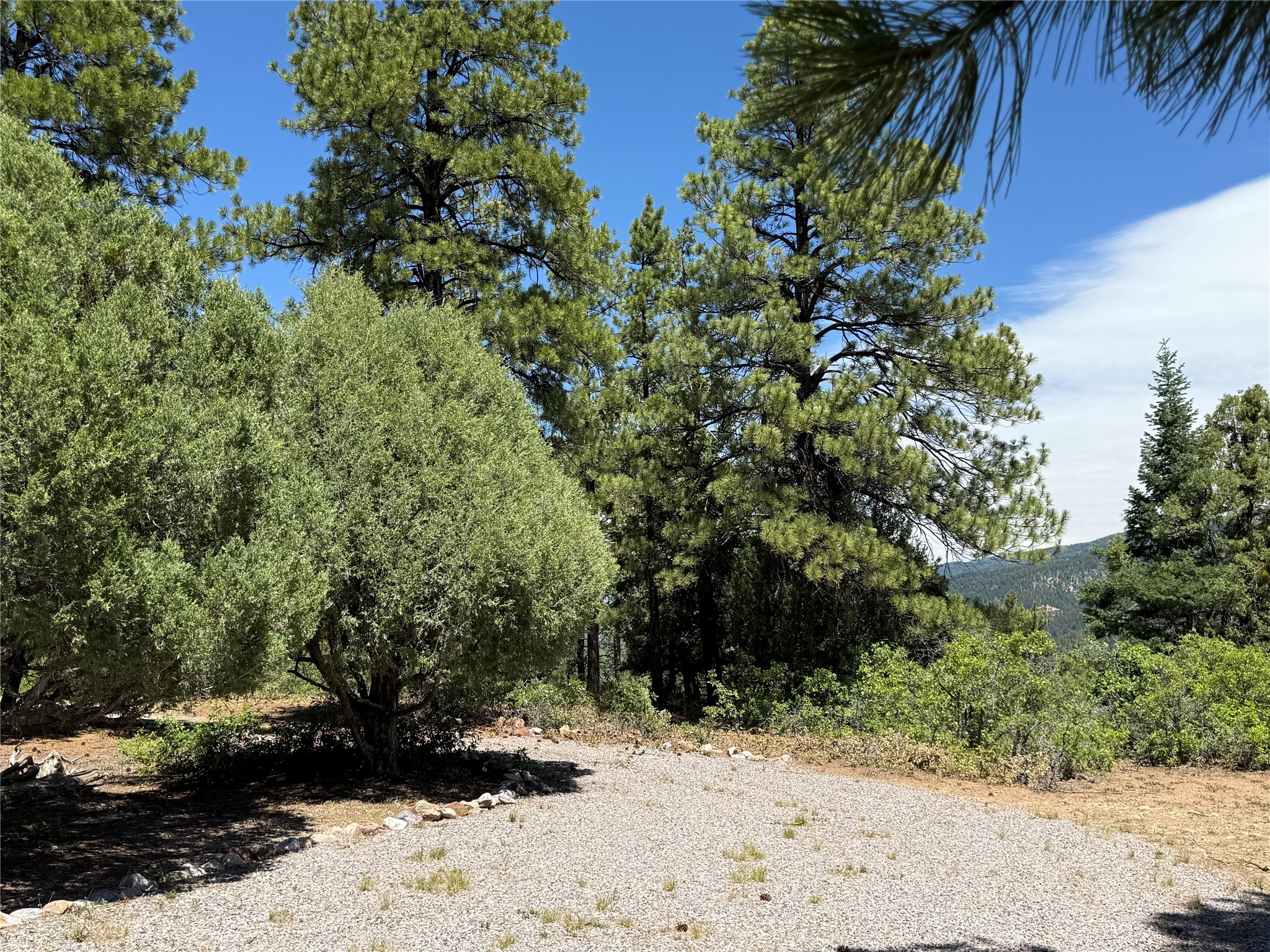 381 Buckman Road Chama, NM 87520 - Photo 21 of 23