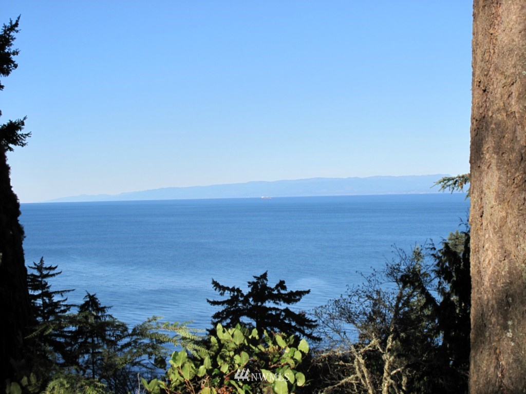 9999 Ranger Road Port Angeles, WA 98363 - Photo 14 of 24 Gallery Image 14