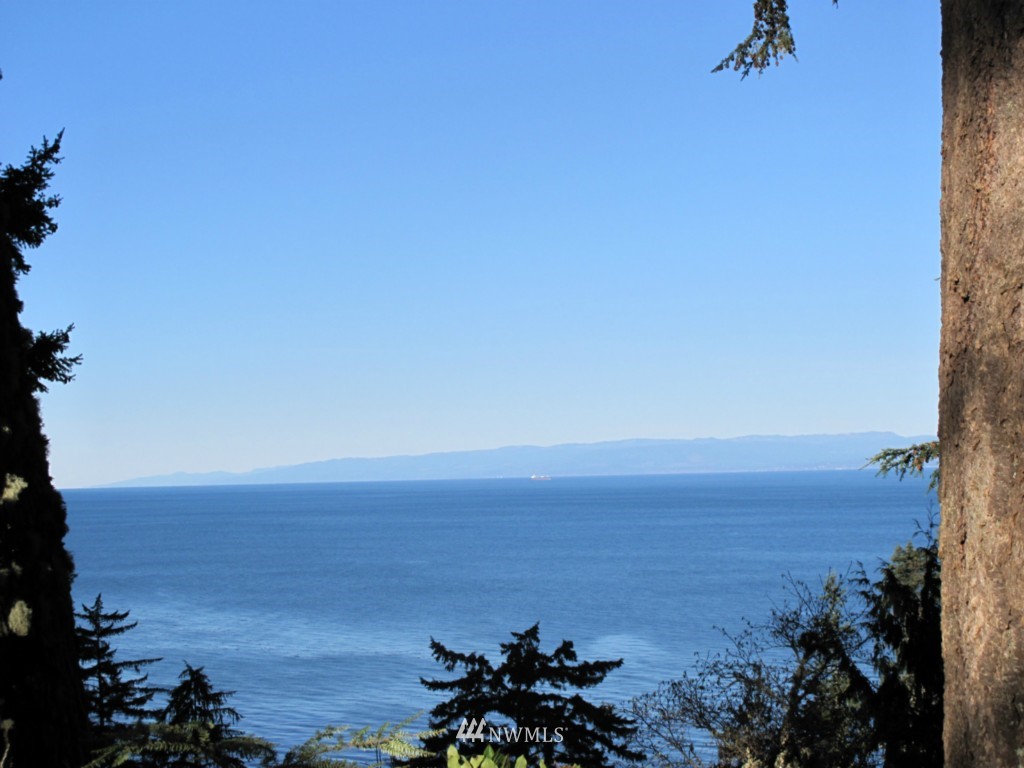 9999 Ranger Road Port Angeles, WA 98363 - Photo 16 of 24 Gallery Image 16