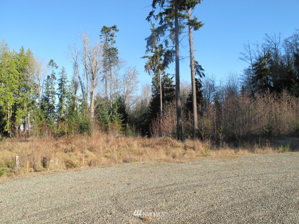 9999 Ranger Road Port Angeles, WA 98363 - Photo 17 of 24 Gallery Image 17