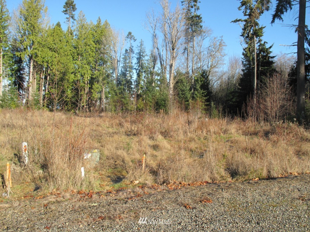 9999 Ranger Road Port Angeles, WA 98363 - Photo 18 of 24 Gallery Image 18