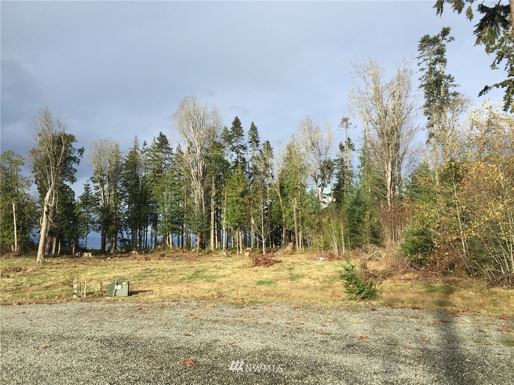 9999 Ranger Road Port Angeles, WA 98363 - Photo 22 of 24 Gallery Image 22