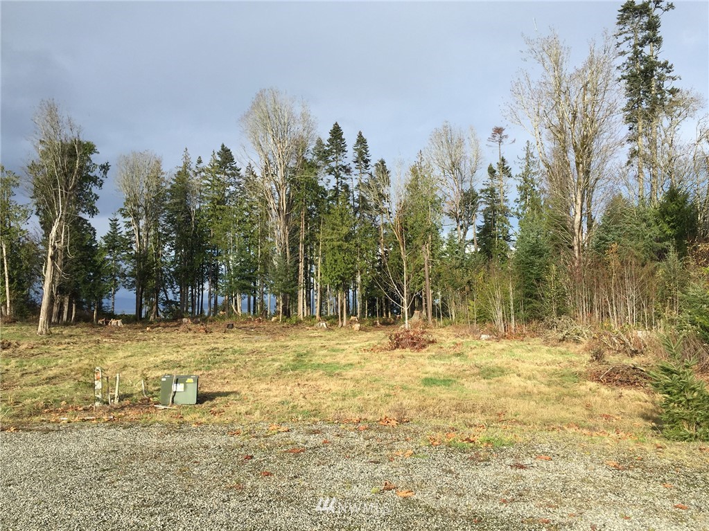 9999 Ranger Road Port Angeles, WA 98363 - Photo 23 of 24 Gallery Image 23