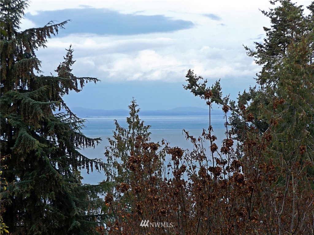 9999 Ranger Road Port Angeles, WA 98363 - Photo 24 of 24 Gallery Image 24