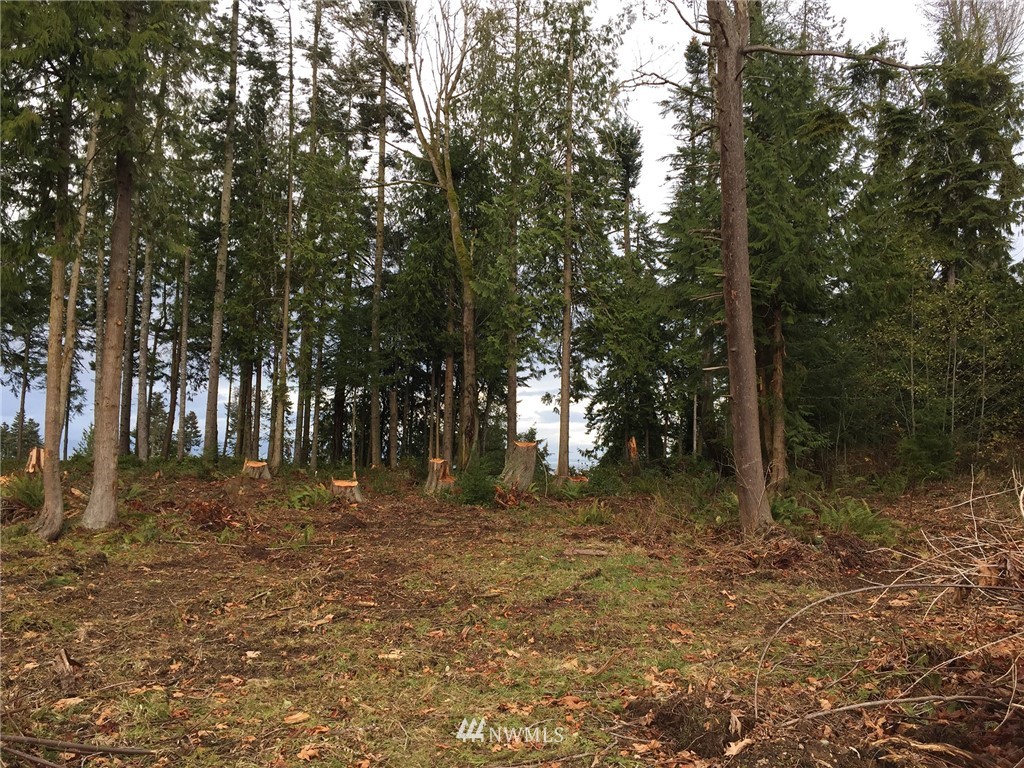 9999 Ranger Road Port Angeles, WA 98363 - Photo 4 of 24 Gallery Image 4