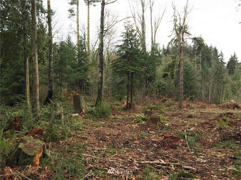 9999 Ranger Road Port Angeles, WA 98363 - Photo 5 of 24 Gallery Image 5