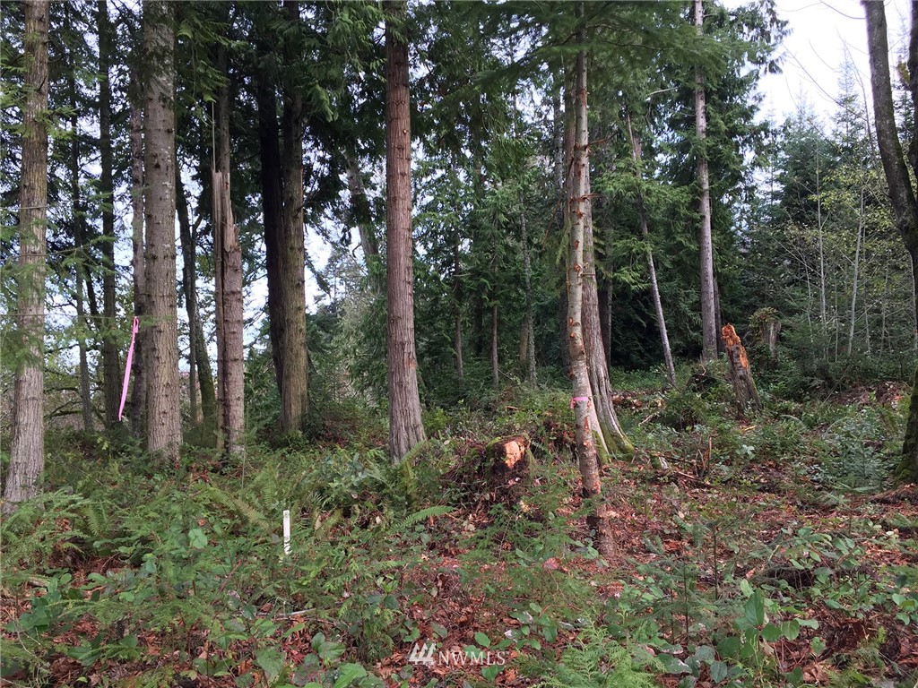 9999 Ranger Road Port Angeles, WA 98363 - Photo 6 of 24 Gallery Image 6