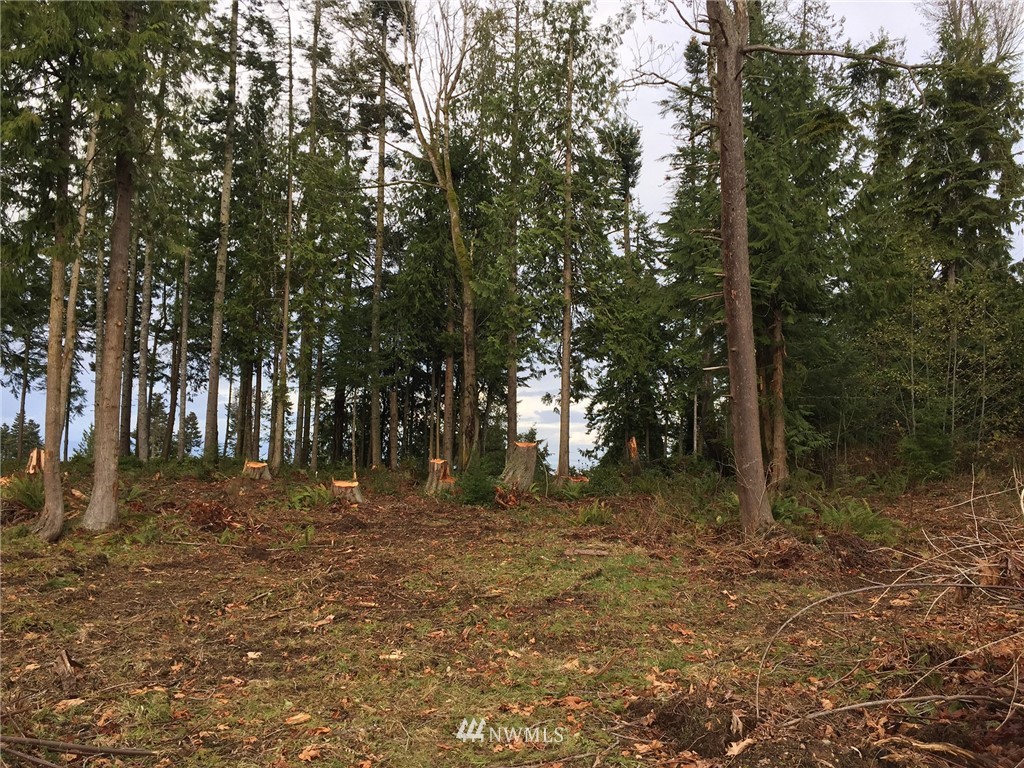 9999 Ranger Road Port Angeles, WA 98363 - Photo 8 of 24 Gallery Image 8