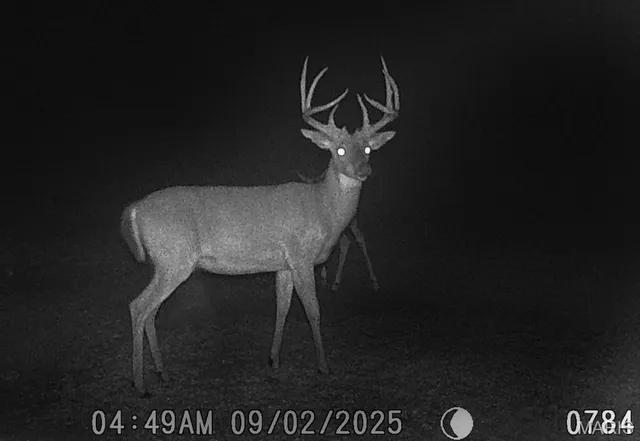 $795,000 | 2160 County Road Y, Harrisburg, MO 65256