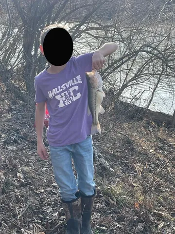 $795,000 | 2160 County Road Y, Harrisburg, MO 65256