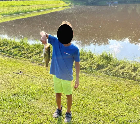 $795,000 | 2160 County Road Y, Harrisburg, MO 65256