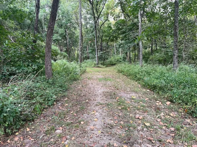 $795,000 | 2160 County Road Y, Harrisburg, MO 65256