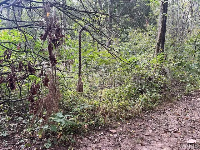 $795,000 | 2160 County Road Y, Harrisburg, MO 65256