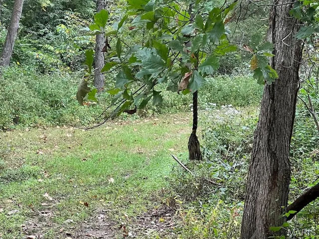 $795,000 | 2160 County Road Y, Harrisburg, MO 65256